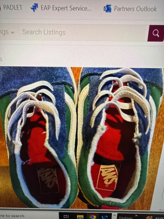 Vans Shoes 10
