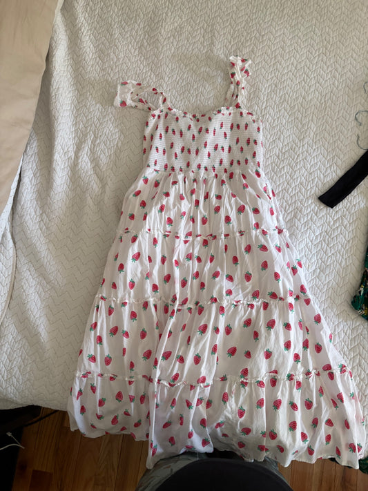 J.Crew Factory Dress Medium