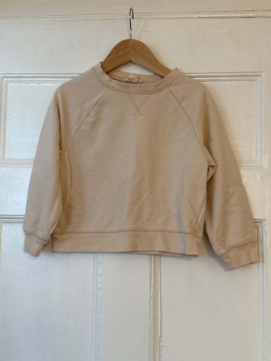 Crewcuts Sweatshirt 5