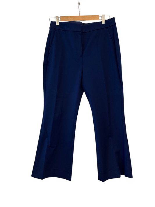 J.Crew Factory Pants 10 New with tags