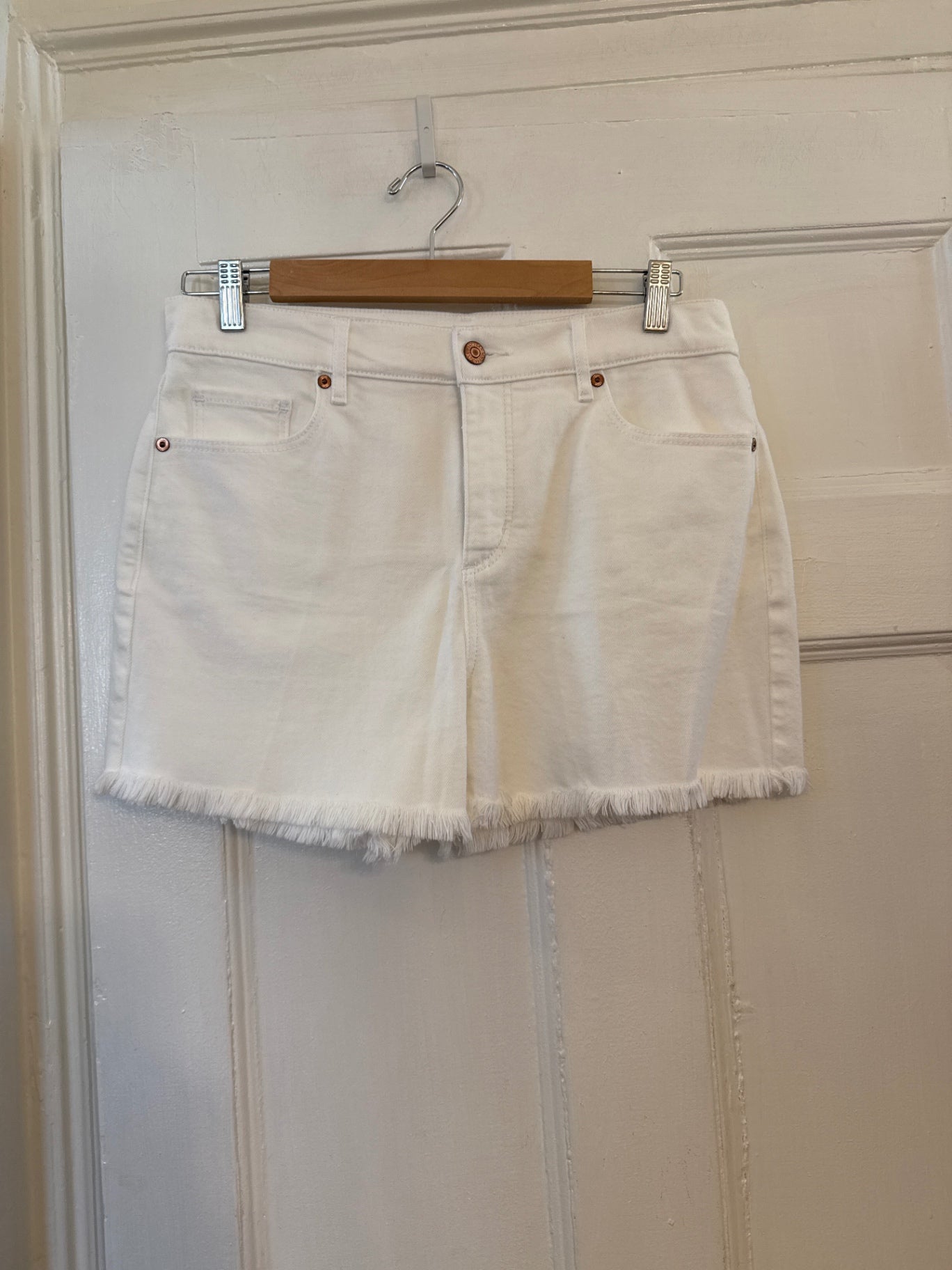 Loft Shorts 6