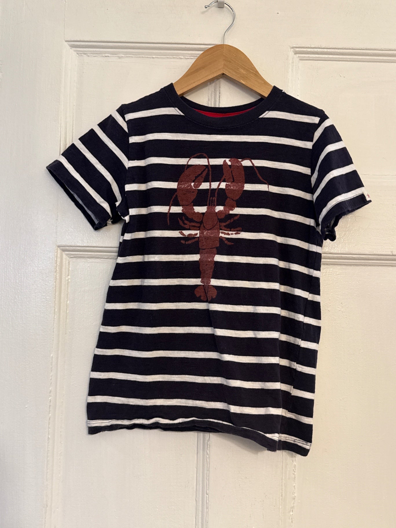 Hatley T-Shirt 6