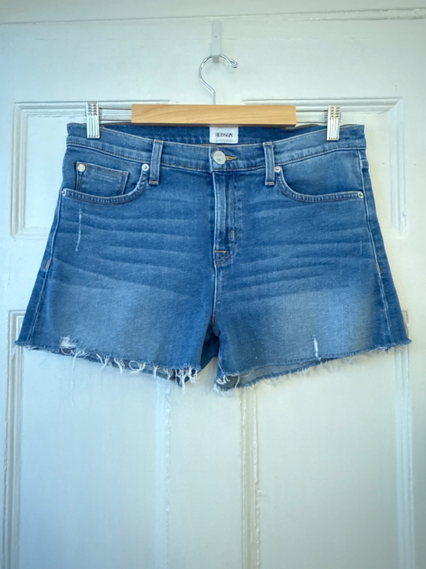Hudson Shorts 29