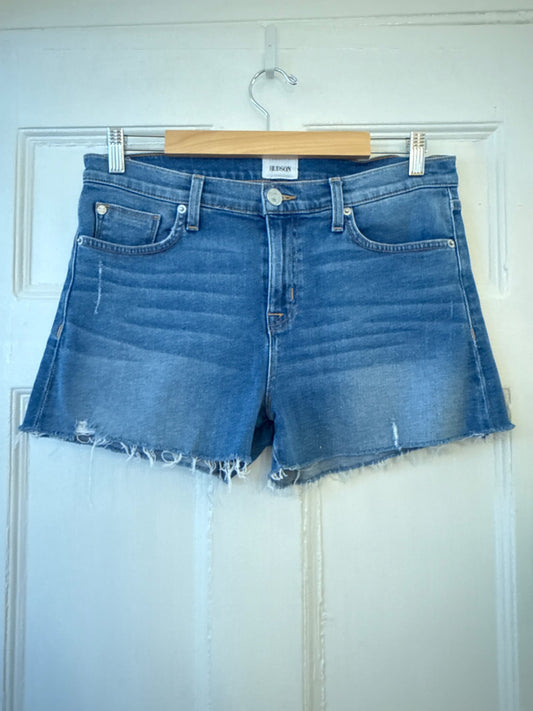 Hudson Shorts 29