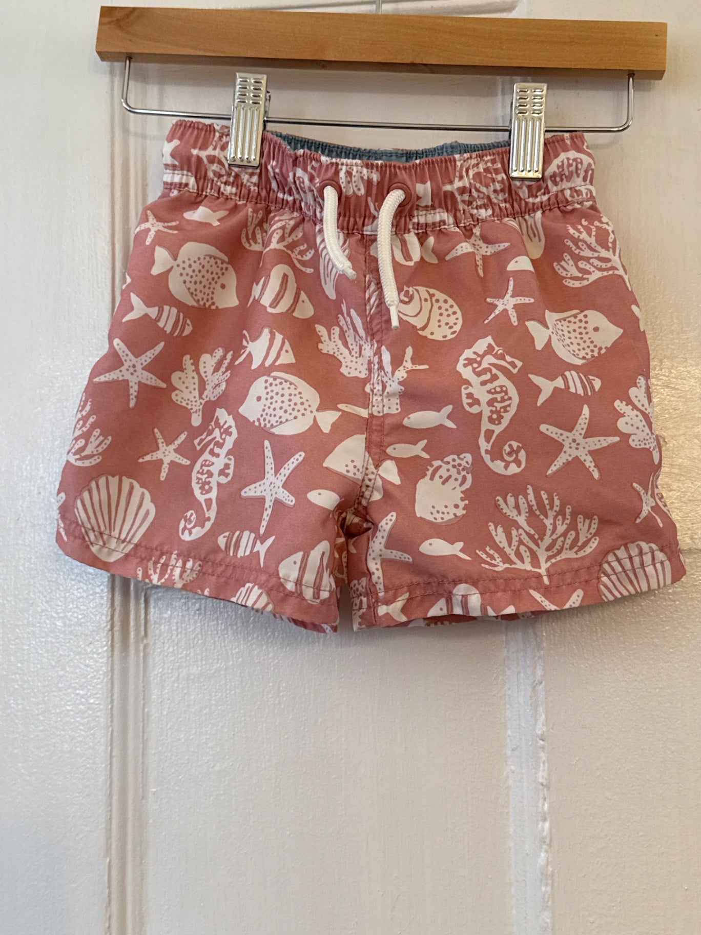 Carters Shorts 5