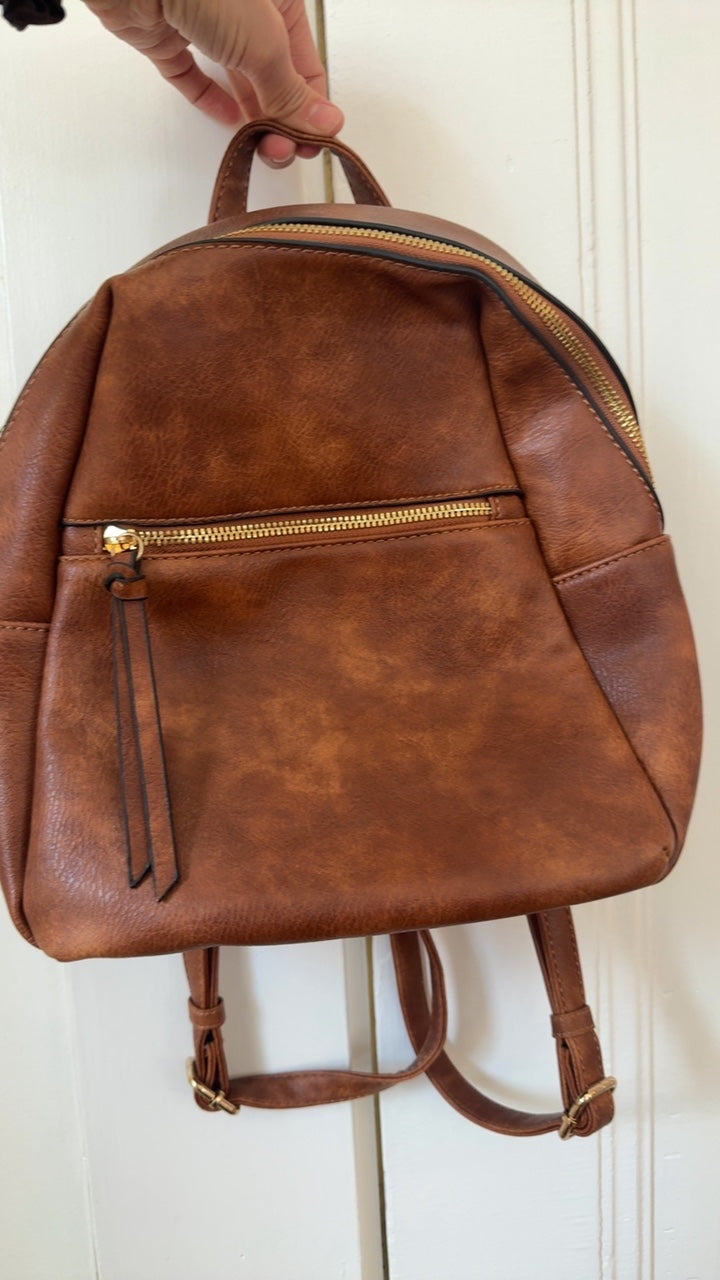Brown Backpack 