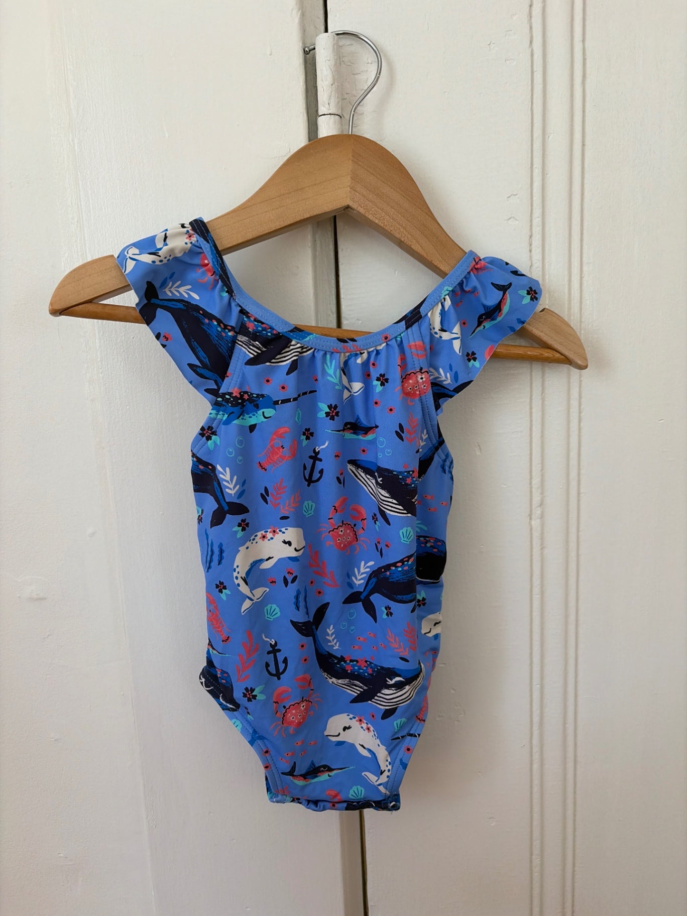 Hatley Swimsuit 9-12 mo