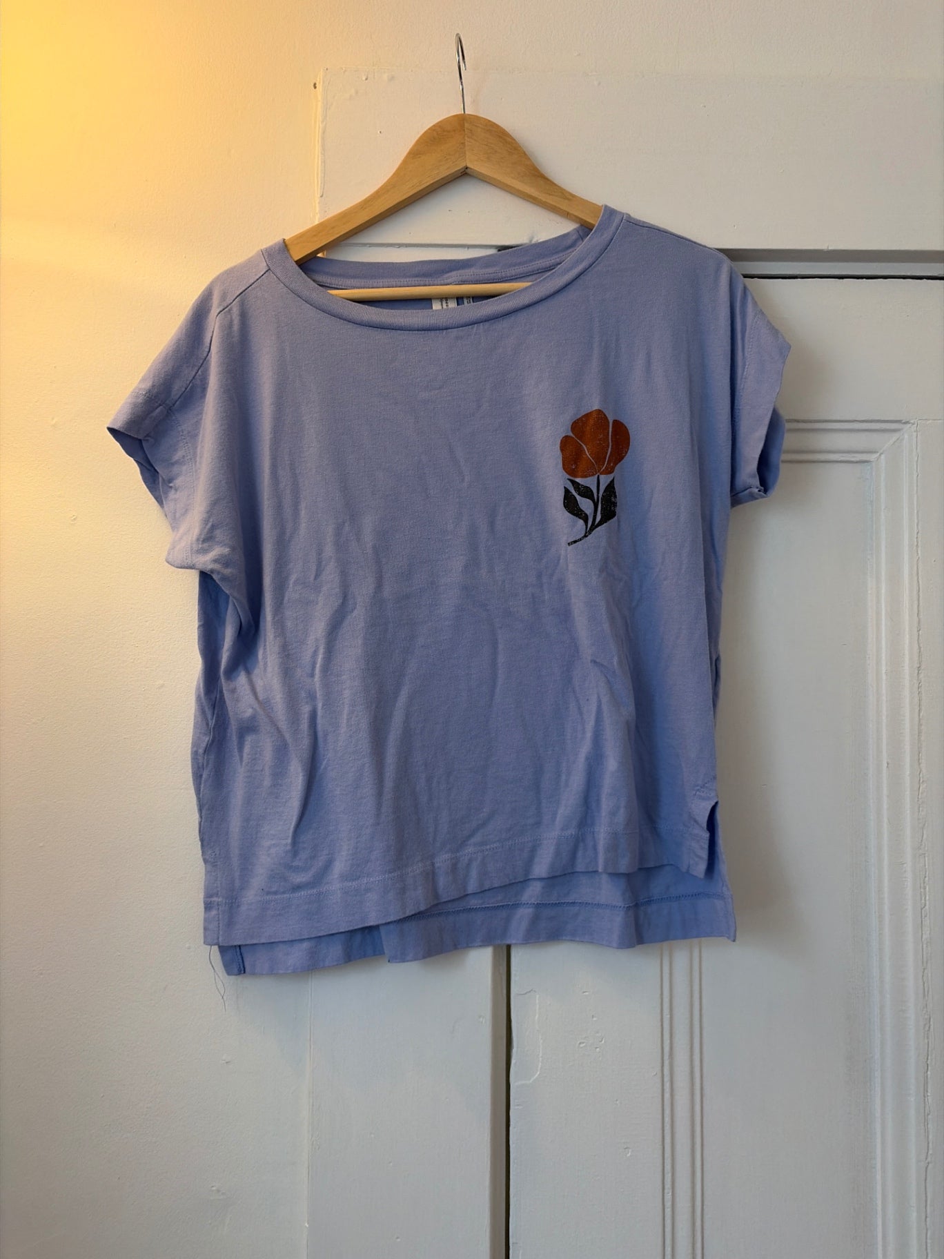 Parrot paints T-Shirt M Good